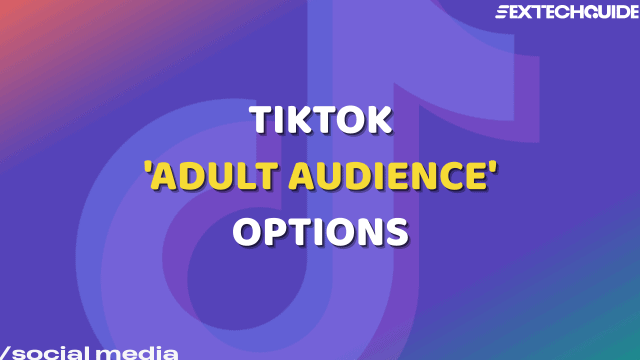 TikTok offers social media options for the adult audience.